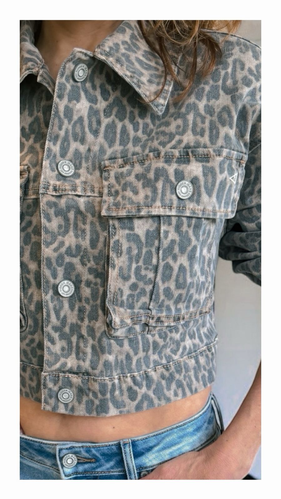 Animal print short Jacket